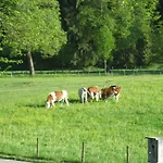Haus Osterried