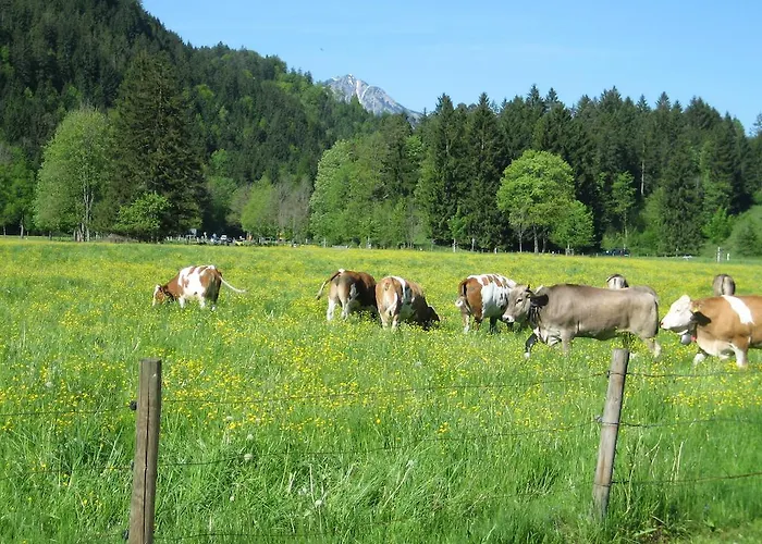 Haus Osterried *