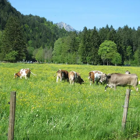 Haus Osterried *